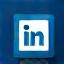 Icona LinkedIn